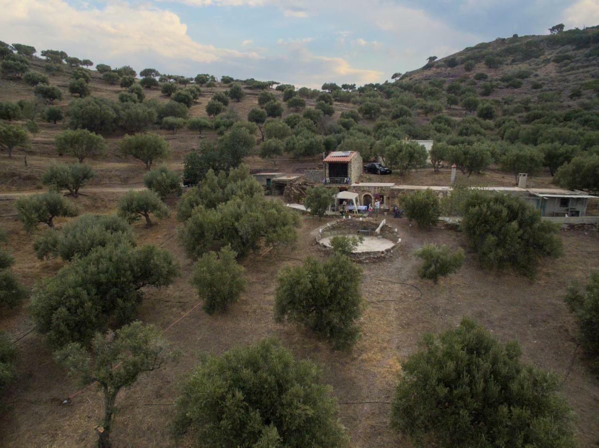 Trahilas House Mochlos Dış mekan fotoğraf